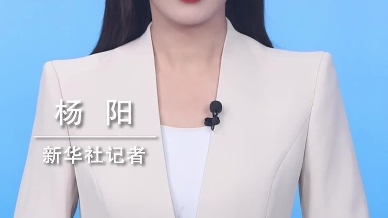企业信息化平台定制：成本构成与考量因素**